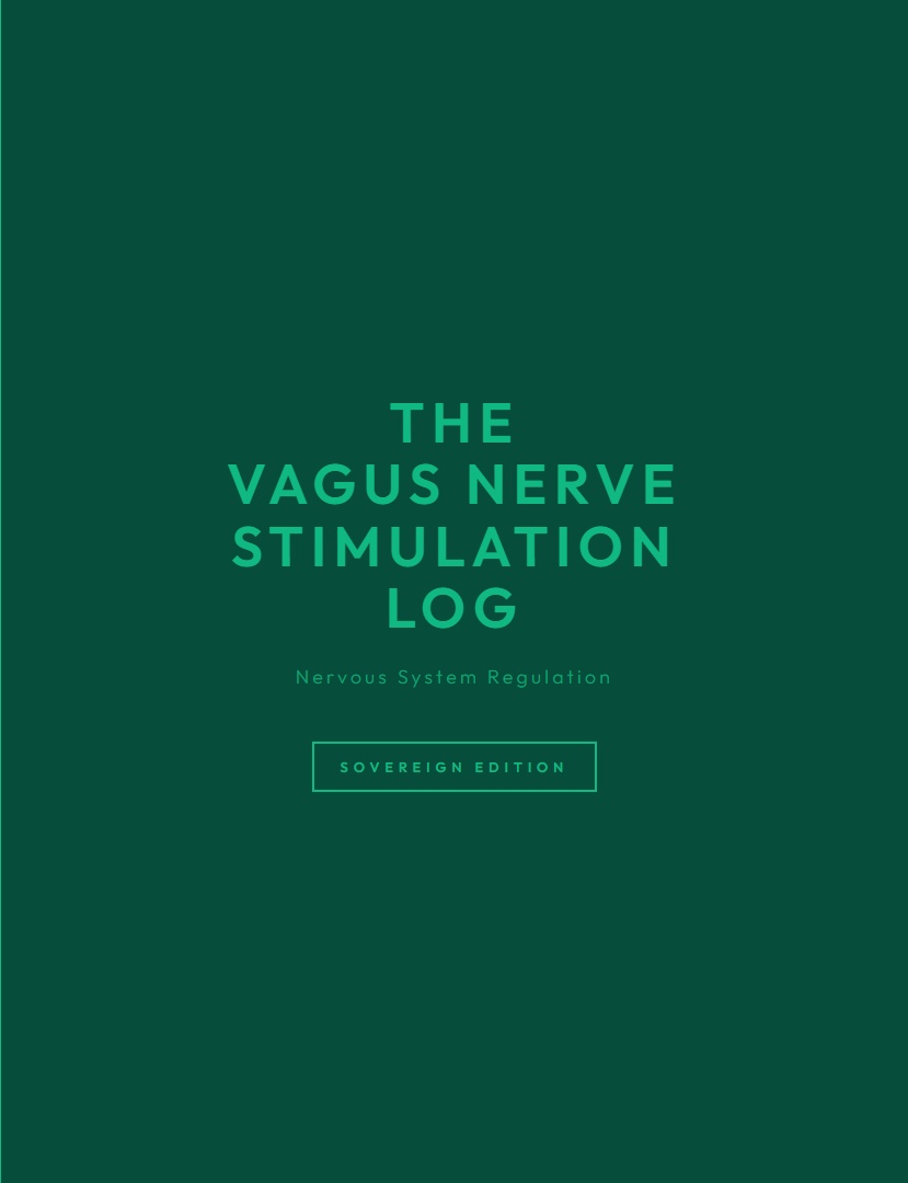 The Vagus Nerve Stimulation Log